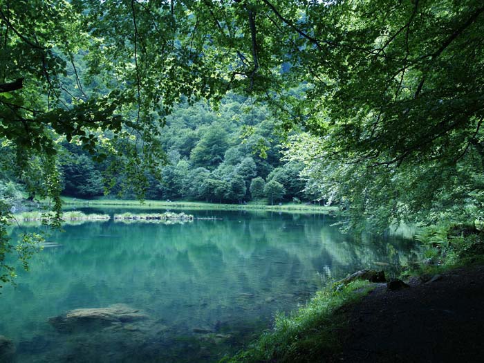 Etang de Bethmale