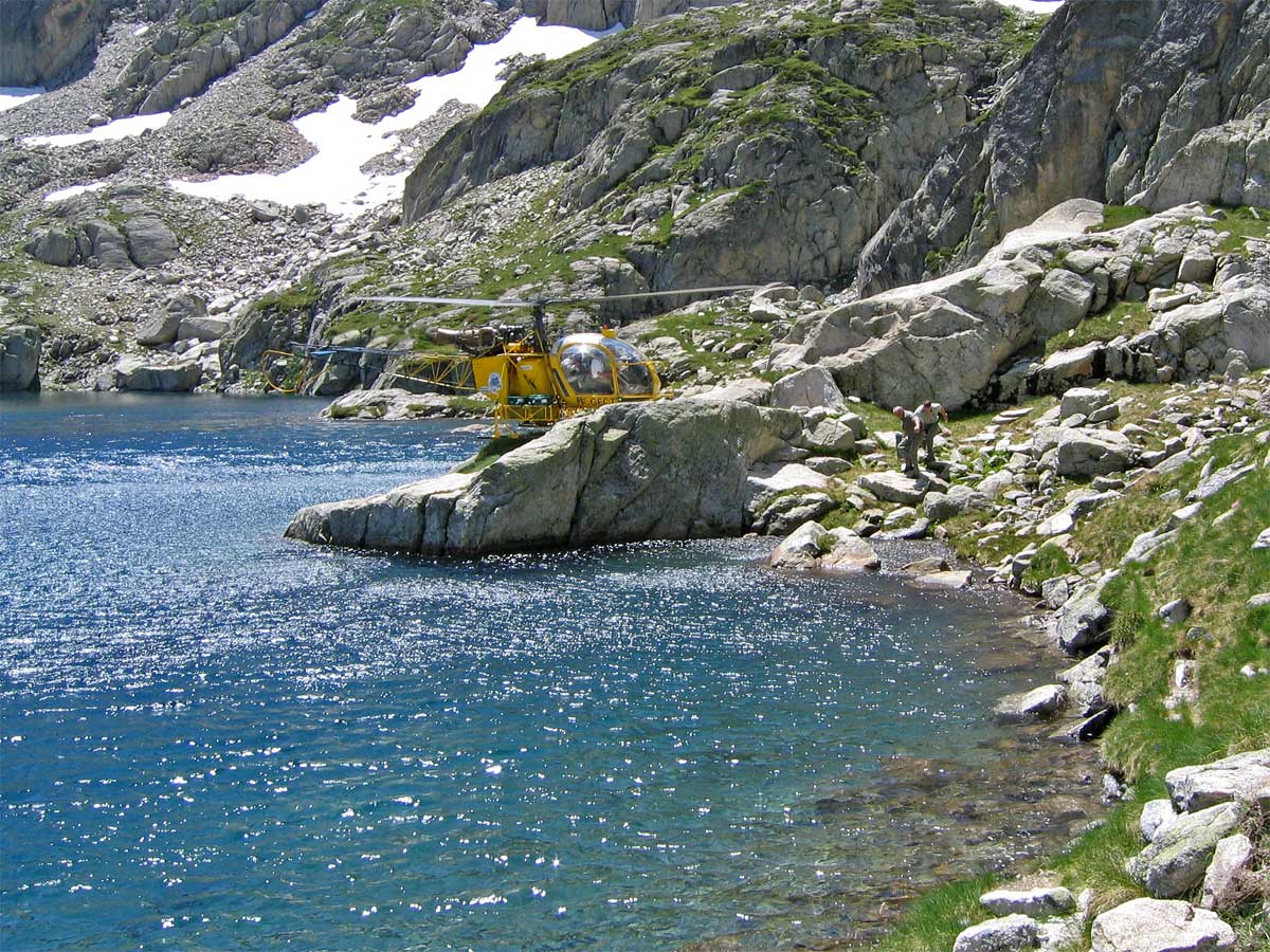 alevinage lacs pyrénéens